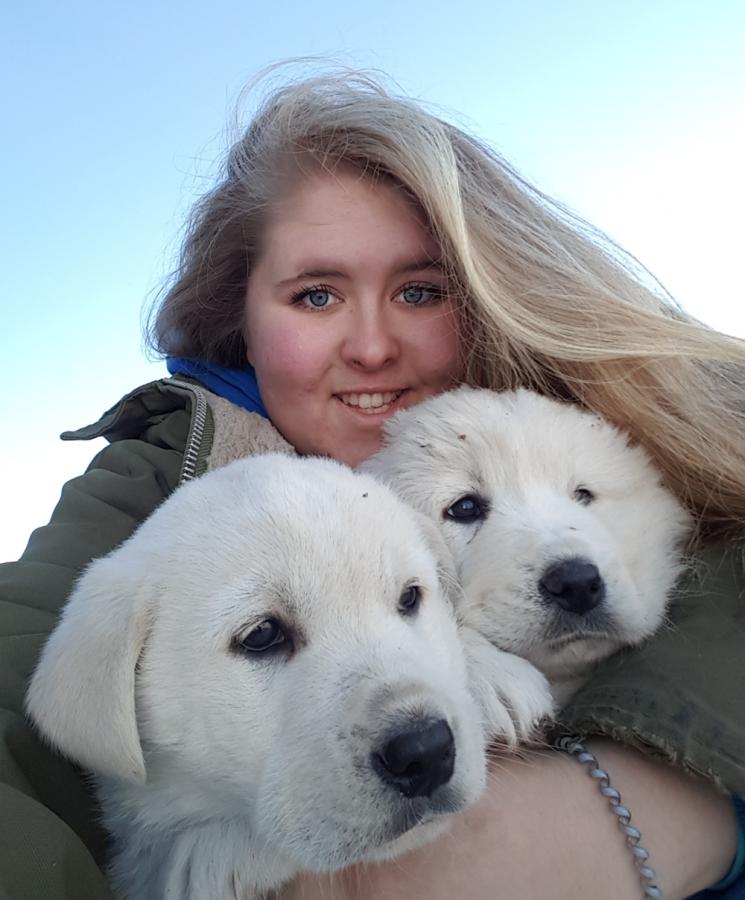 Katy Neuman, science student at CMU, with two white puppies.