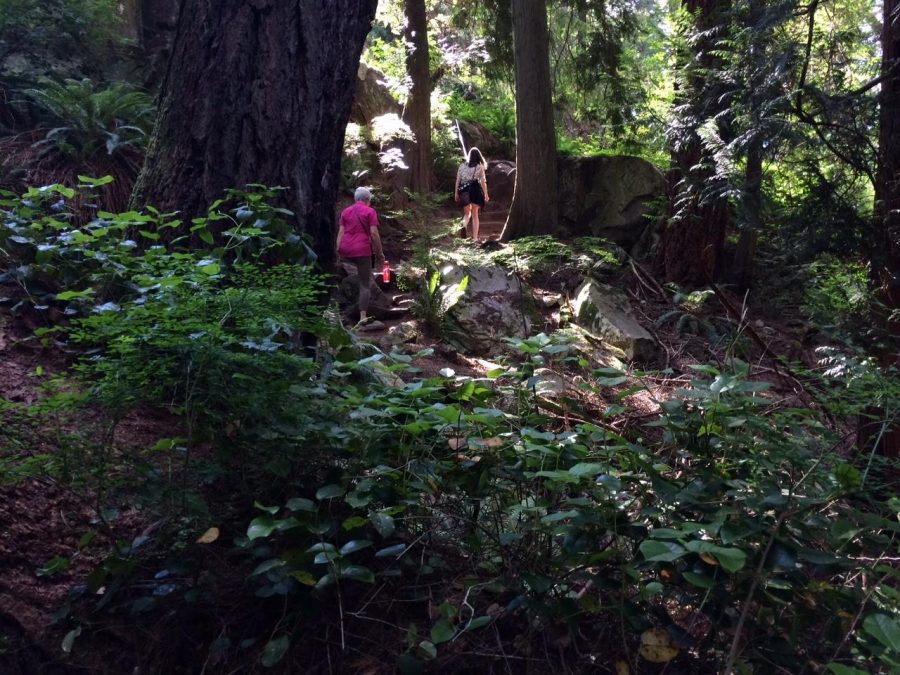 Water: Marnie Klassen wanders through the wilderness of BC.